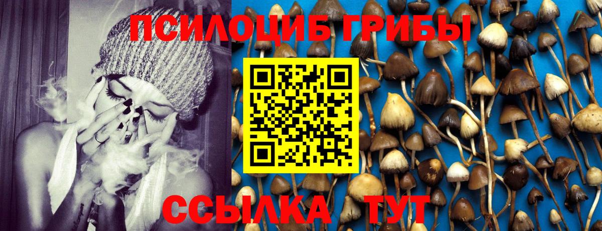 Галлюциногенные грибы мицелий Новочеркасск