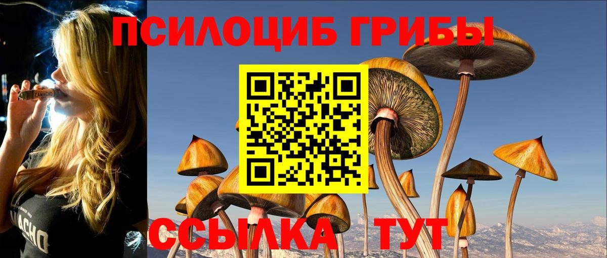 Новочеркасск  Псилоцибиновые грибы мицелий  купить наркотики сайты  Галлюциногенные грибы Magic Shrooms  Вход с VPN 
